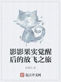 影影果实觉醒之后的放飞之旅