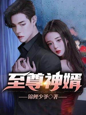 至尊神婿100集免费观看