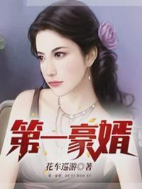 第一豪婿2
