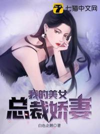 我的美女总裁娇妻。白色企鹅