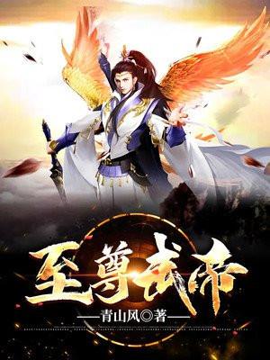至圣武魂