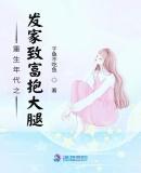 重生年代发家致富文