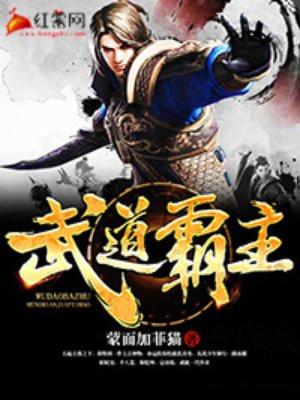 武道天帝免费阅读全文