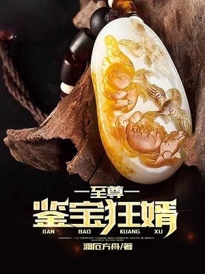 至尊鉴宝狂婿 渡厄方舟TXT