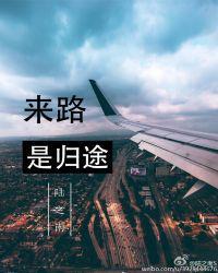 来路是归途百度TXT