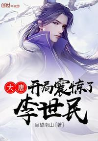 大唐开局震惊了李世民王子安几个女主