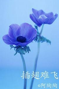 沈初云陆进片段