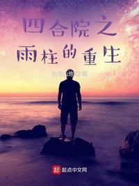 四合院之雨柱的重生作者东北山炮