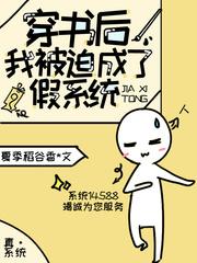 我被迫成了假系统百度