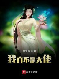 我真不是大佬 笔