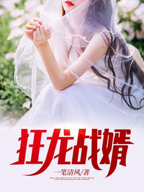 狂龙战婿顶点
