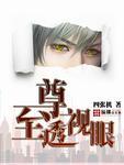 至尊透视眼全文阅读
