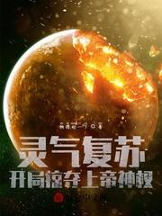 开局掠夺上帝神权免费阅读