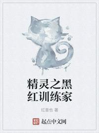 精灵之核心训练家免费