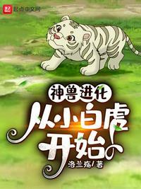 从小白虎开始 洛兰殇