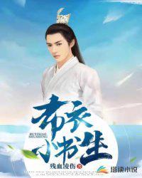 布衣小书生凌云穿越免费阅读