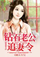 情逢帝少钻石老公追妻令