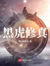 黑虎玄坛简介