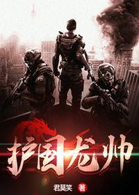 护国龙帅叶无道txt