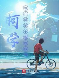 蜡笔小新山寨版