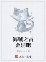 海贼王之赏金别跑123