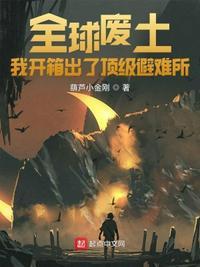 避难所无限升级