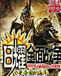三国全面战争秘籍