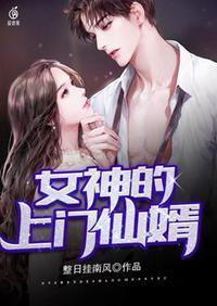 女神的上门女婿七五四