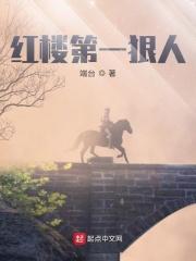 红楼第一狠人全文阅读