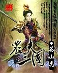 三国十大巅峰之作