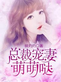 总裁萌宠甜妻电视剧