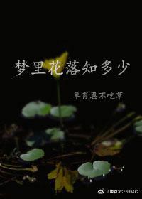 梦里花落知多少陈三银行行长