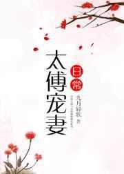 太傅宠妻日常免费阅读