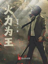 火力为王高光免费阅读完整版
