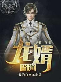 龙婿当道全文免费阅读qq