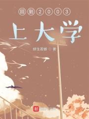 重生回2003年