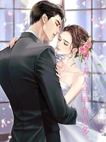 爷夫人马甲轰动全球了TXT