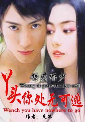 错惹邪魅摄政王