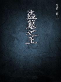 盗墓之王阅读