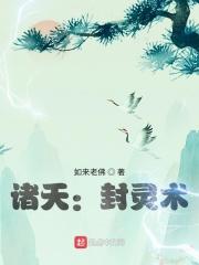 诸天盗贼