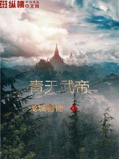 青天武帝无弹窗免费