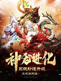 神宠进化系统123