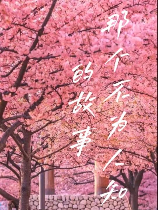 那个不为人知的故事电视剧免费观看