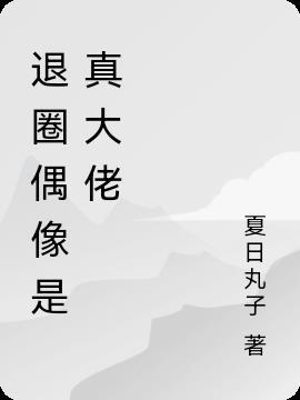 退圈后我成了超级偶像