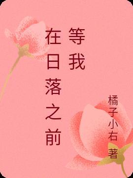 爱在日落之前下一句