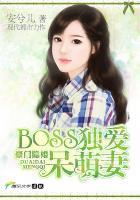 豪门隐婚腹黑总裁专宠妻慕少