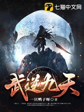 武逆九天多少个境界