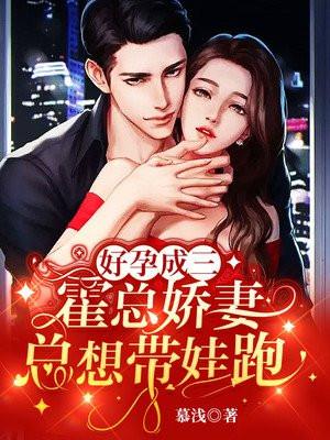 好孕成双总裁的暖色甜妻