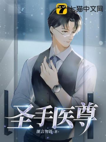 圣手圣医