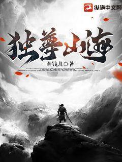 独尊苍穹简介